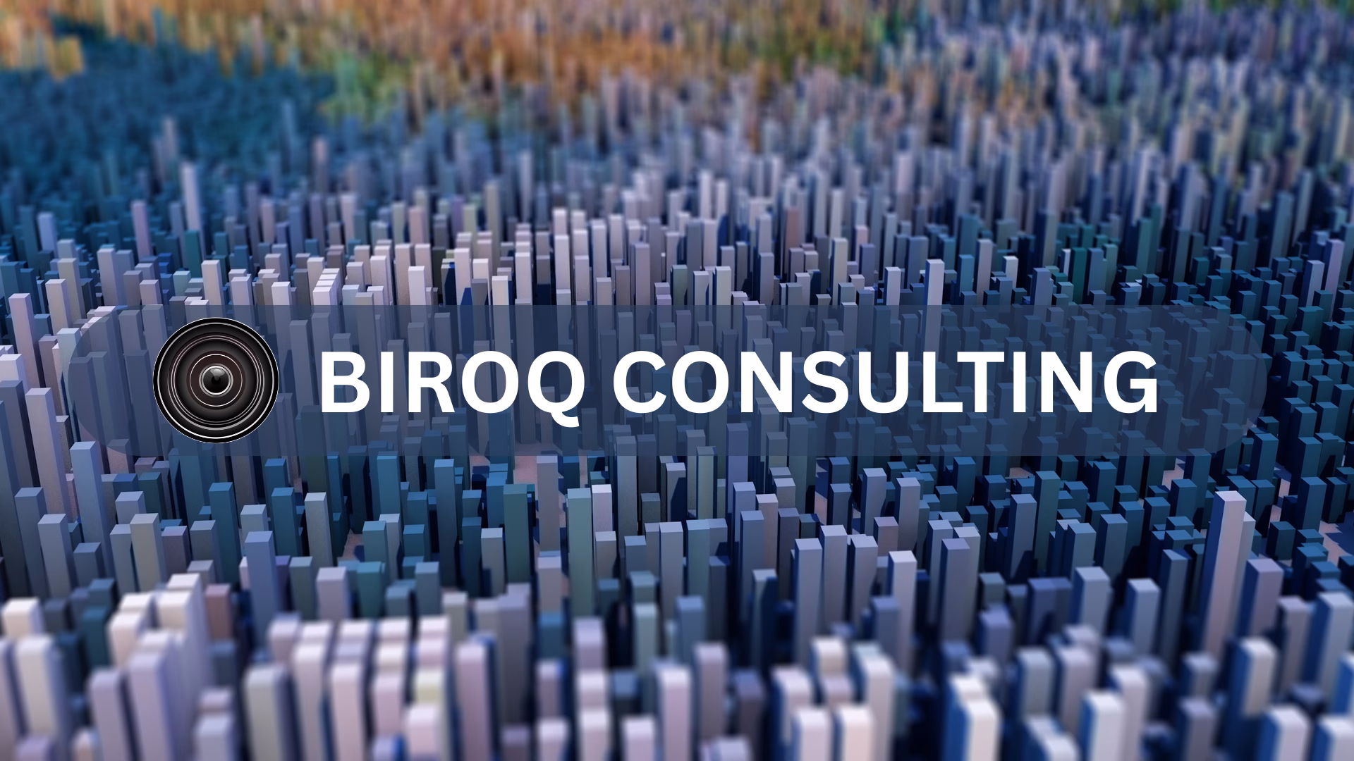 BIROQ CONSULTING